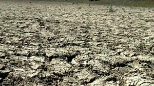 ANIF: 2008 va fi secetos şi se impune irigarea unor suprafeţe agricole