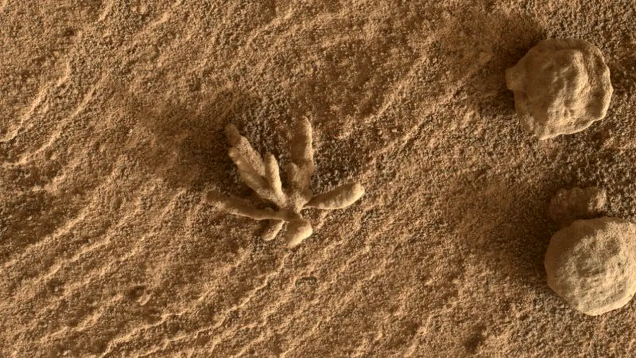 Surpriza de pe Marte. Roverul Curiosity a găsit o ”floare marţiană” mai mică decât o monedă