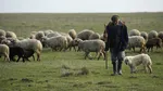 România a urcat ușor în clasamentul mondial al calității vieții. Stăm bine la capitolul „libertate personală”