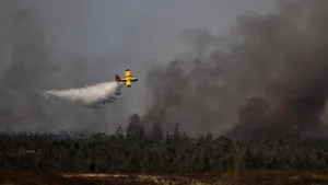 Alertă pe telefoanele britanicilor. Grătarele, focurile de tabără și artificiile, interzise din cauza incendiilor