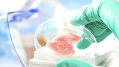 PROIECT Carnea făcută în laborator, pe lista neagră. Parlamentarii discută interzicerea ei în România