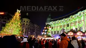 ZILE LIBERE suplimentare de Sărbători: Bugetarii nu vor lucra pe 27, 31 decembrie 2013 şi 3 ianuarie 2014