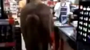 IMAGINILE ZILEI: Un bărbat din Buzău a intrat cu un cal în magazin| VIDEO