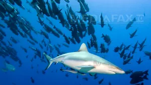 Cea mai longevivă vertebrată de pe Terra are 400 de ani: ''A fost o mare surpriză să o descoperim'' - FOTO 