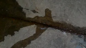 Sindicat: În Barajul Porţile de Fier al Hidroelectrica s-au produs fisuri ce pun în pericol unitatea. Există pericol de accidentare a persoanelor aflate în zonă - FOTO