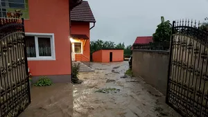 VIDEO | Ploile torenţiale au făcut din nou ravagii: 10 gospodării au fost inundate în urma scurgerii apei de pe versanţi, în Braşov