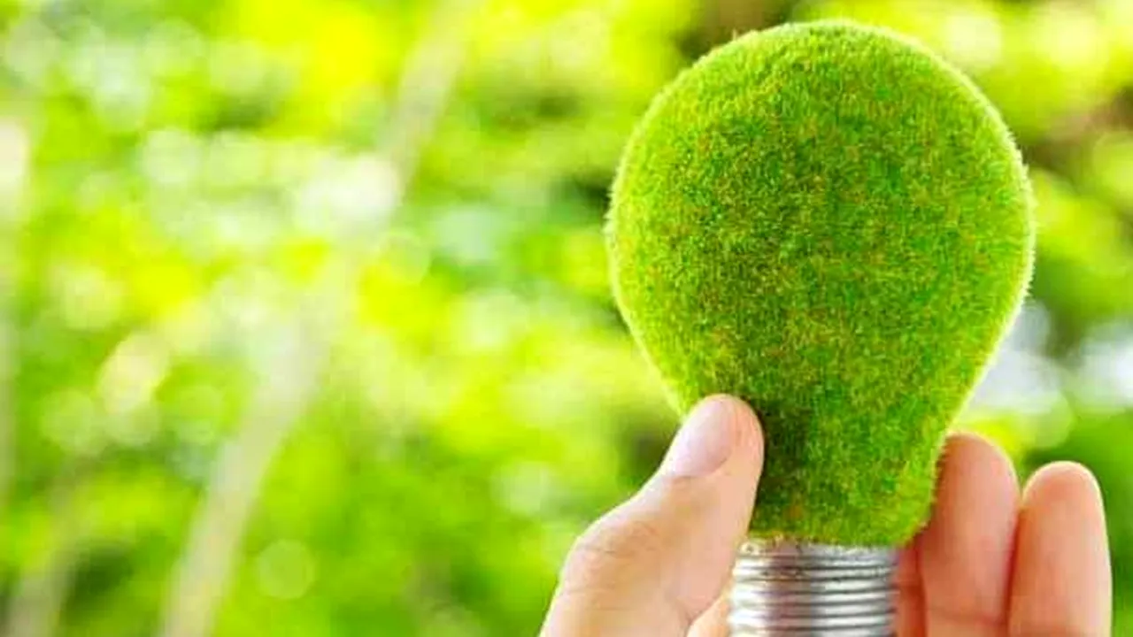 Premieră. Cheltuielile pentru energia verde le egalează pe cele pentru combustibili fosili