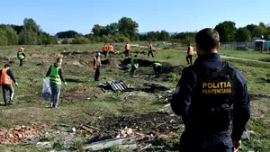 Cât costă pe oră un ajutor în gospodărie, de la spart lemne și curățat terenuri până la construirea de foișoare și mobilier din lemn