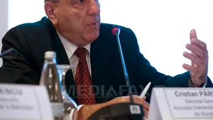 CONFERINŢA MEDIAFAX - Pârvan (Asociaţia Oamenilor de Afaceri din România): Nu banii sunt problema principală a IMM-urilor, ci că nu-şi găsesc locul în economie