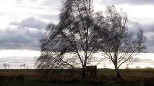 METEO Noi avertizări Cod galben de vânt puternic pentru alte patru judeţe