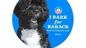 Câinele familiei prezidenţiale contribuie la campania de realegere a lui Barack Obama - FOTO, VIDEO