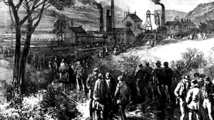 TIFF 2014 - Luiza Pârvu, la premiera 