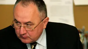 Romanian Democrat Liberals Say Minister Liability Law Is Unconstitutional