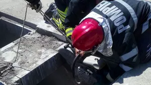 Un cal a căzut într-un canal din cartierul Militari din Bucureşti