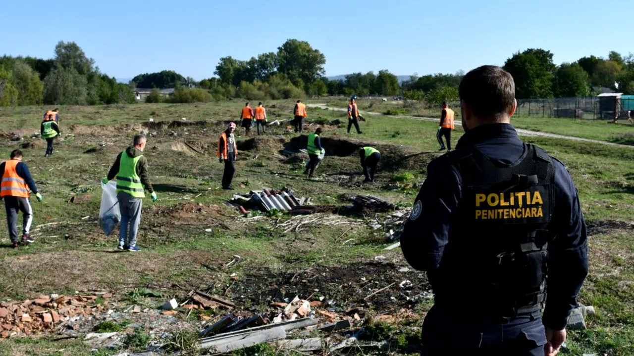 Cât costă pe oră un ajutor în gospodărie, de la spart lemne și curățat terenuri până la construirea de foișoare și mobilier din lemn