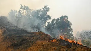 Flăcările fac ravagii pe coasta Californiei. Vântul de până la 110 km/h amenință să extindă incendiile