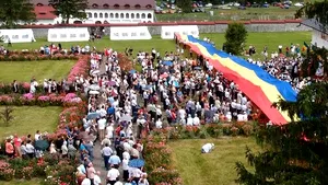 Românii din diaspora vor cere dizolvarea Parlamentului, dacă nu se aprobă votul prin corespondenţă