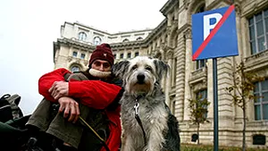 Romanian Senators Unanimously Enact Animal Protection Law