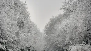 Se anunţă ninsori în Capitală. Strat de zăpadă de 10 centimetri
