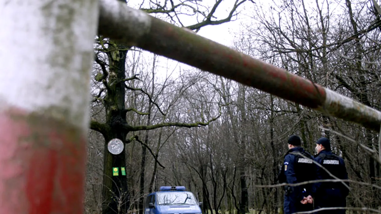 Nouăzeci de PISTOALE au fost găsite pe un CÂMP din judeţul Argeş. Poliţiştii fac cercetări pentru a afla provenienţa armelor