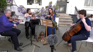 Poliţia londoneză închide un cvartet de coarde din motive de siguranţă publică / Spectacolul de care s-au bucurat vecinii a durat timp de şase săptămâni