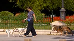 Noi politici implementate prin Codul Urbanismului. Mai multe spații verzi, condiții mai bune pentru pietoni și bicicliști