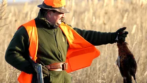 Noua lege a vânătorii ameninţă zeci de specii de păsări. Societatea Ornitologică Română solicită preşedintelui să nu promulge modificările distructive 