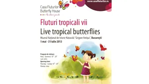 Expoziţie de fluturi tropicali vii, la Muzeul Antipa din Capitală. Care sunt preţurile biletelor