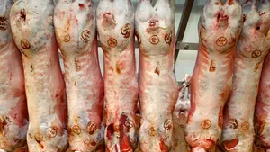 Sute de tone de carne verificate într-un depozit din Capitală. Există suspiciuni de evaziune