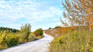 Drumul „Transalpina de Apuseni” va fi finanţat cu 44 milioane de euro din fonduri europene 