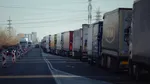 MAE a anunțat actualizarea restricțiilor pe teritoriul Ungariei după confirmarea febrei aftoase