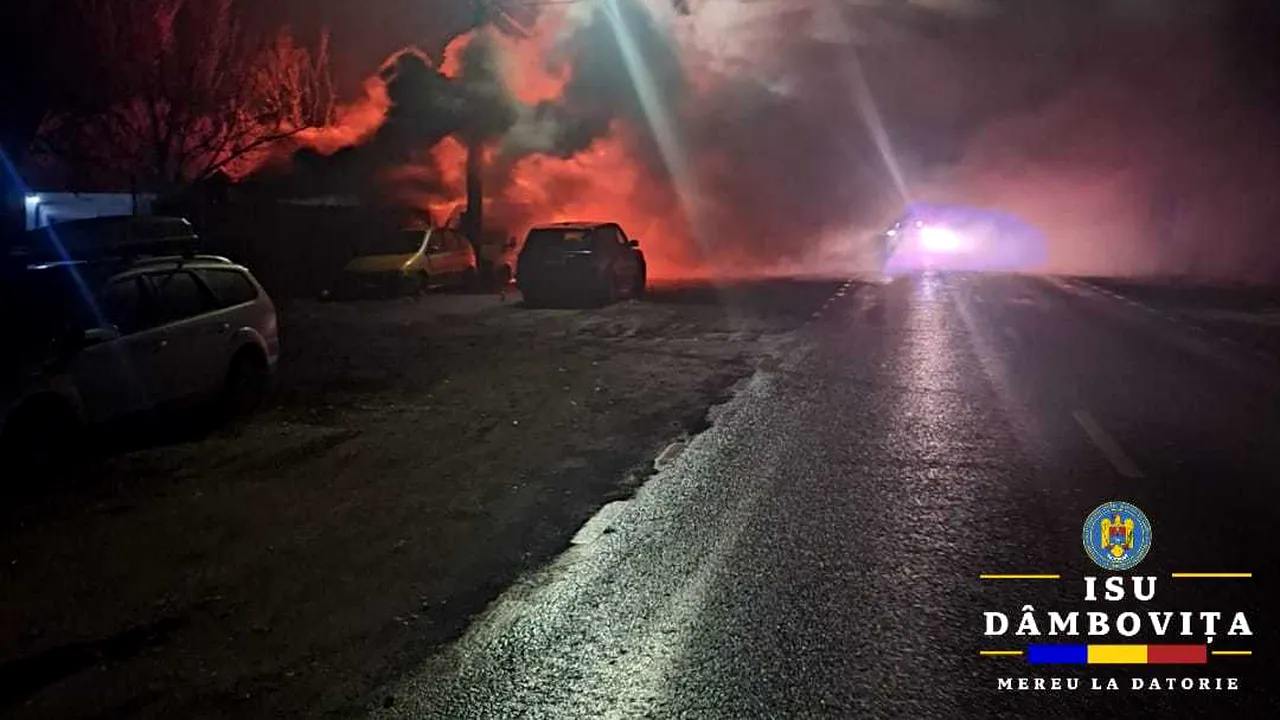 Incendiul de la Crevedia a fost generat de un cablu defect