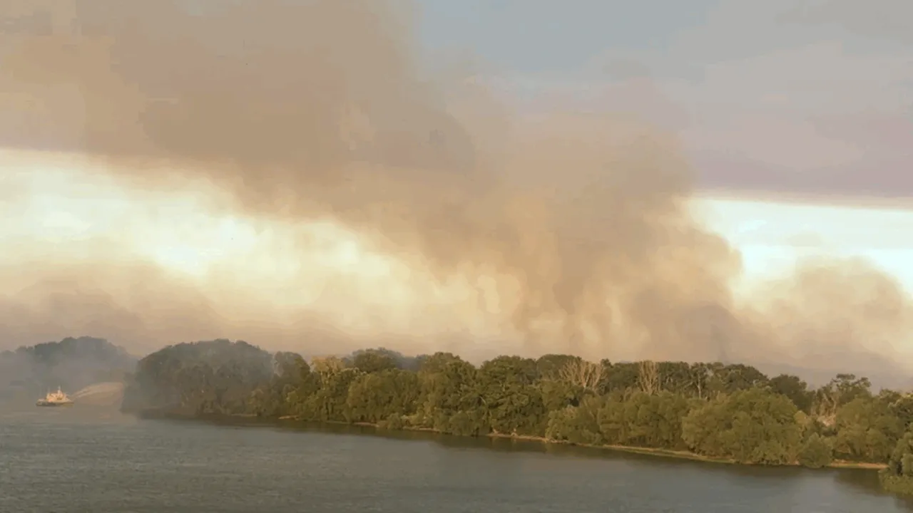 Incendiul din Chilia Veche: Intervenție din aer, de pe mare și terestru pentru stingerea focului