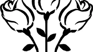 PSD, obligat să-şi schimbe de două ori reprezentantul într-un birou electoral din Bistriţa-Năsăud