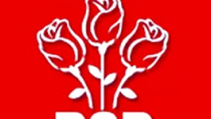 Condiţie PSD pentru alianţa cu ACD: Sigla să conţină obligatoriu cei trei trandafiri