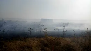Incendiu puternic la o stână şi în poligonul Babadag în urma unor trageri cu tunul efectuate de militari francezi