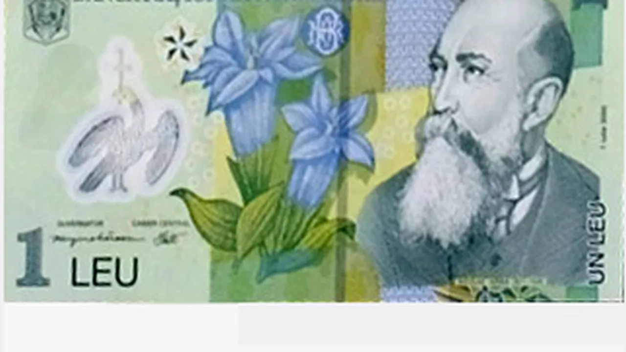 Leul a urcat la 3,6026 unităţi în raport cu euro