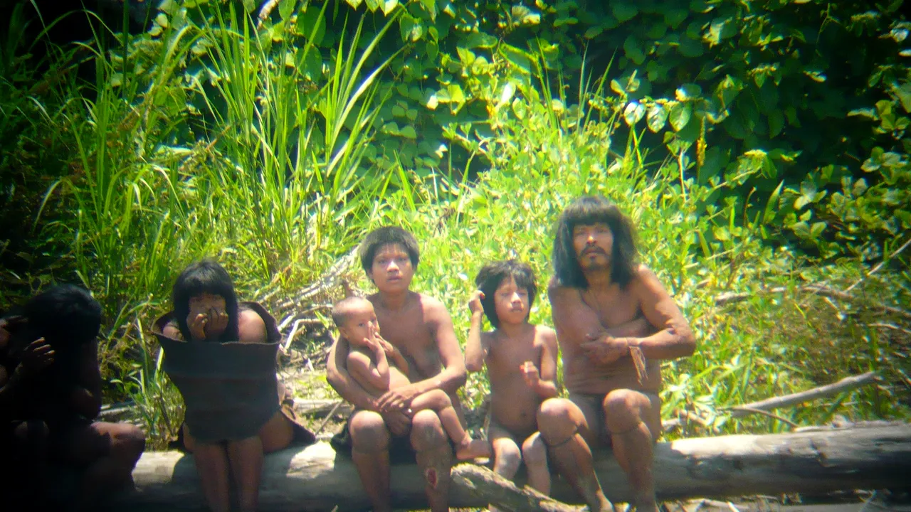 Secetă fără precedent în Amazon. Numeroşi peşti au murit şi rutele de transport sunt afectate