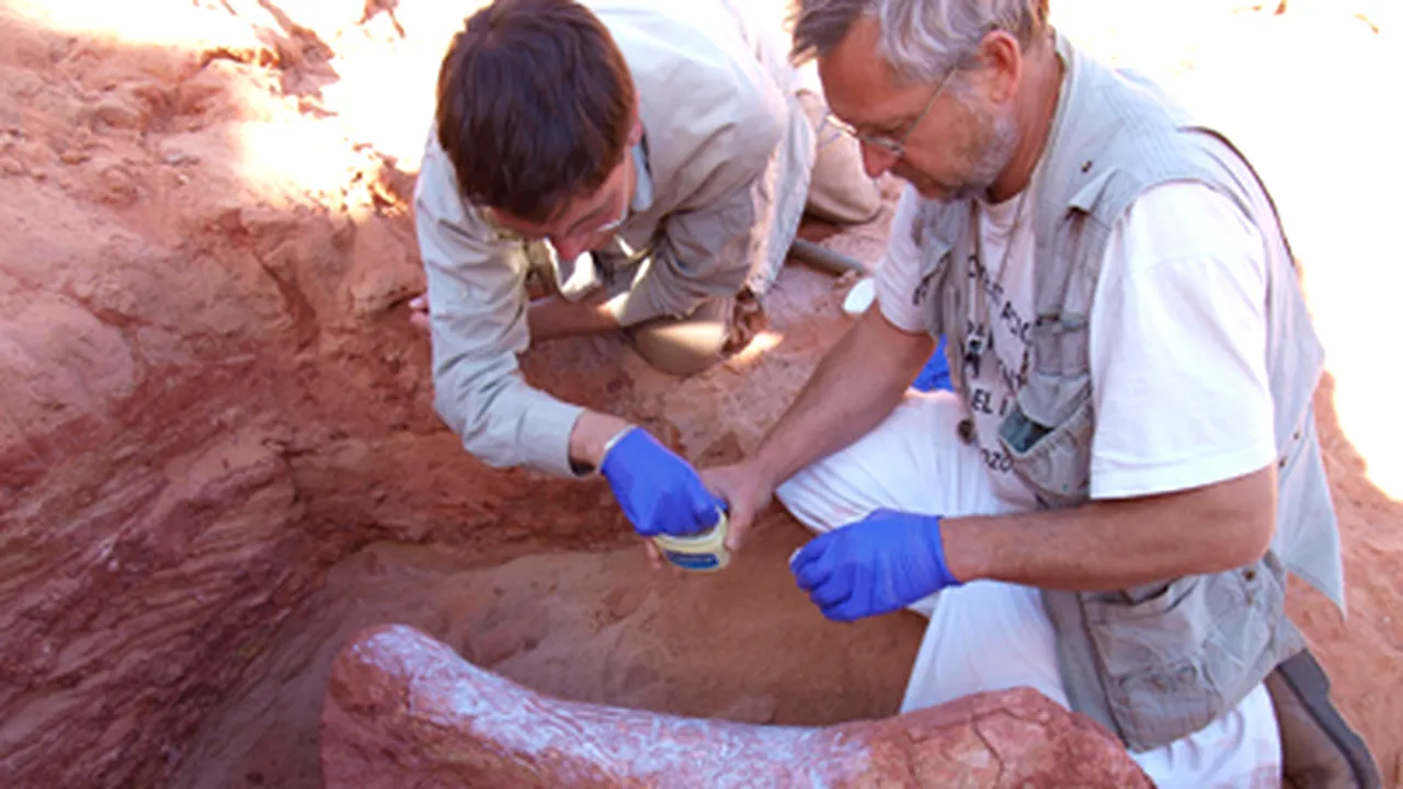Fosilele unor reptile gigantice, descoperite în deşertul marocan