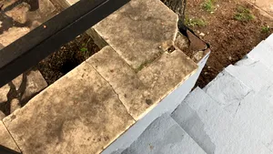 Spoială de campanie la Ploieşti: Treptele de marmură de la casa de cultură, vopsite la repezeală, în aşteptarea unui oficial de la Bucureşti - FOTO