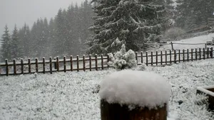 Ninsori, viscol şi strat de zăpadă de trei centimetri, în staţiunea Harghita-Băi - FOTO