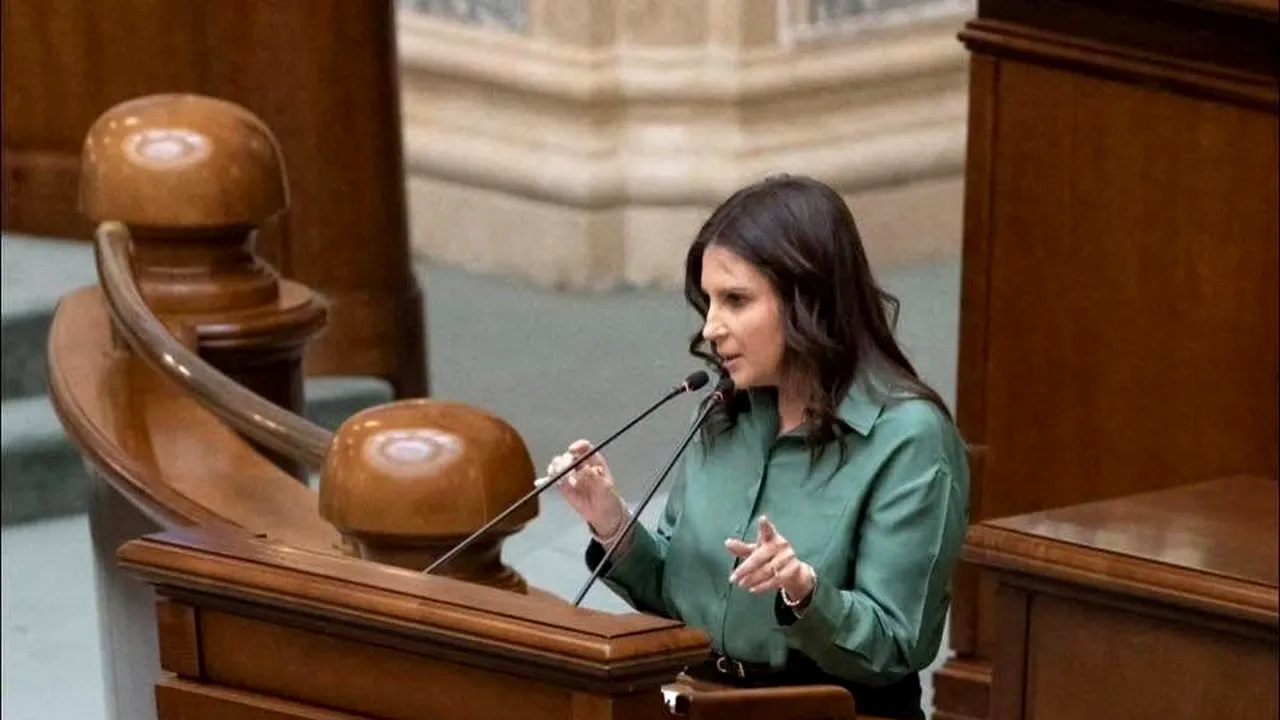 Senator PNL: Există două variante de guvern minoritar - condus de PSD sau din PNL, USR și UDMR