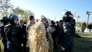 Ciobanii din Sîngeorz-Băi protestează în faţa Primăriei cu turme de oi şi zeci de câini