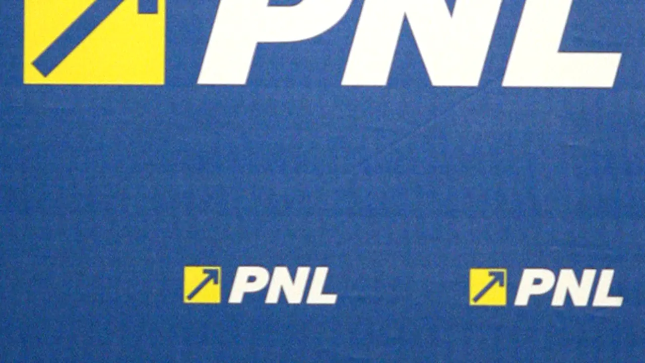 Vosganian, Marga, Nicolăescu, Fenechiu, Iorgulescu, Gorghiu, Meleşcanu - şefi la comisiile PNL