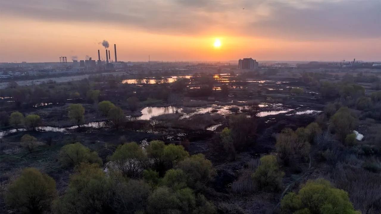 Acţiune de ecologizare, sâmbătă, în Delta Văcăreşti