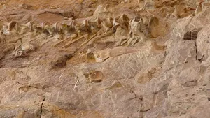 Mii de oase de dinozaur, descoperite în estul Chinei