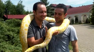 Cătălin Măruţă a avut un piton pe umeri - FOTO