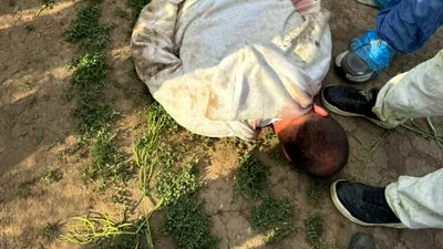 SOCIAL Crima din Bihor. Principalul suspect a fost prins de polițiști