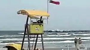 Vreme rea în mare parte a ţării