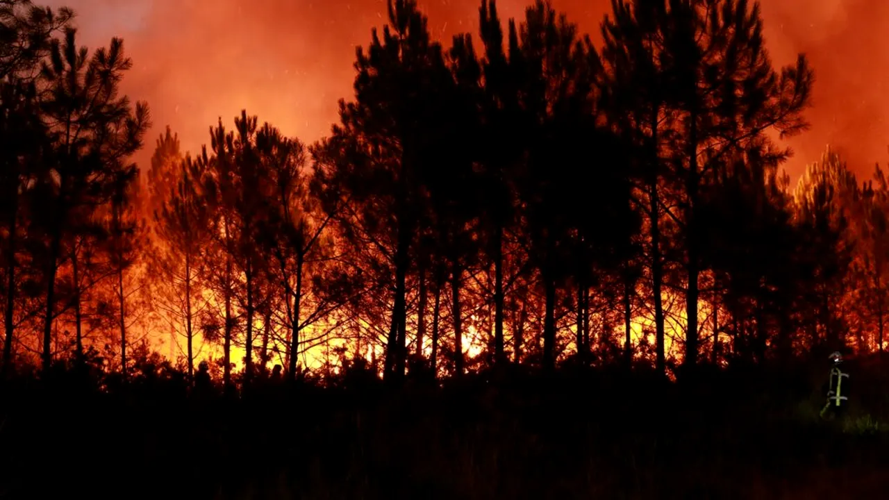 Reportaj AP: Un iepure și 220.000 de francezi evacuați. O mamă și fiica ei au fugit din calea flăcărilor